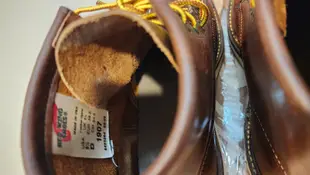 RED WING 1907 瘋馬皮 6.5D 少穿