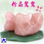 【吉祥開運坊】粉晶系列【增加人緣、夫妻感情 粉晶鴛鴦大型 粉水晶鴛鴦 】開光 擇日