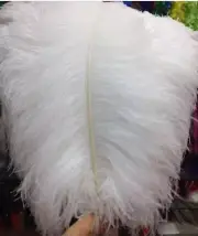 5 Pcs White 28-30 inches Ostrich Feather/Plume/Wing/ Horse Feathers