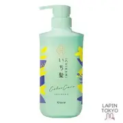[NEW] Ichikami [Color Care] Base Treatment in Shampoo Pump 480ml Silico