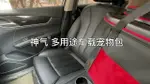 寵物手推車小型犬貓咪外出打針小推拉桿車便攜折疊可分離車載貓包