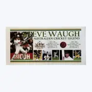 Steve Waugh