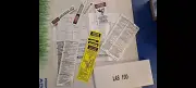 LAS100 WERNER/GREENBULL ALUMINUM STEPLADDER SAFETY LABELS FREE SHIPPING