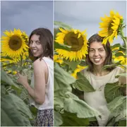 Sunflower - Giant Russian seeds