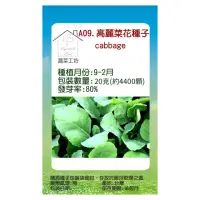 在飛比找momo購物網優惠-【蔬菜工坊】A09.高麗菜花種子(黃花芥藍菜 芥蘭菜)