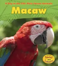 在飛比找博客來優惠-Macaw