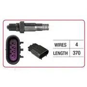 RAE Oxygen Sensor - OX405
