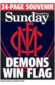 MELBOURNE DEMONS Team player poster, AFL football, CATS, DIGS, PIES BLUES,CROWS