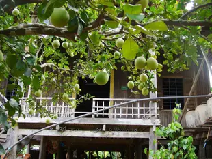 科巴高的1臥室獨棟住宅 - 15平方公尺/1間專用衛浴Pomelo Homestay