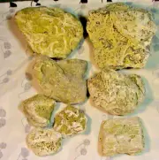 Coquina, Fossils, Coral/Shells, Arts Crafts. Etching, History, 5 LBS, 3 OZ, #732