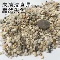 在飛比找樂天市場購物網優惠-魚缸底砂天然河沙魚缸沙子水族箱造景底沙石子擺件水草缸裝飾沙石