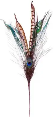 Peacock Pheasant Feather Pick Spray Stem 27" Natural Floral Craft Decor 165d