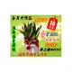 台北龍昇網路花店【Fa-0899虎尾蘭桌型盆栽】~特價商品，不怕您比價，在任何拍賣或購物網站找到比我更便宜 ，買貴退差價 ~