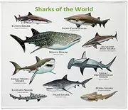 CafePress Sharks of The World Throw Blanket Soft Plush Throw Blanket 60" x 50"