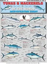 Tunas & Mackerels of The World Fish Identification #9 - Waterproof Quick Reference Guide | Portable & Built to Last | Double-Sided & Easy to Read | (Weight, Location, Hook Size & Food Quality)