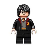 LEGO人偶 HP333 哈利波特 哈利波特系列【必買站】樂高人偶
