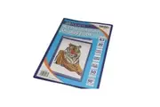 Tiger Recycled A3 Document Wallet (Blue) (One Size)