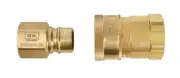 BK Resources BKG-QDC-100 1" FPT Gas Quick Disconnect