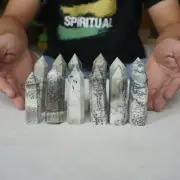 2.2LB 12Pcs Natural Seaweed Jasper Quartz Crystal Point Tower Obelisk Healing
