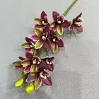 Artificial Cymbidium Hookerianum 10 Heads Simulated Vanda Cymbidium Orchid Pl-yp