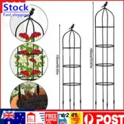 Support Metal Flower Plant Gardening Tools Rack U-shaped Stakes ClimbingFrame.*㊉