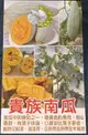 5寸盆 [貴族南瓜盆栽] 新品種南瓜盆栽 活體蔬果盆栽 送禮盆栽 室外植物 長大會攀爬 生態觀察教學盆栽