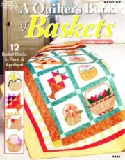 NEW ASN A QUILTERS BOOK OF BASKETS OOP 2004