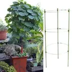 Oxidation-resistant Plant Cage Plant Support Stand for Plants Cage Frame
