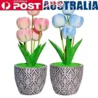 Home Flower LED Lamp Touch Control Dimmable USB Rechargeable Home Decoration