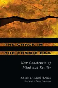 在飛比找博客來優惠-The Crack in the Cosmic Egg: N