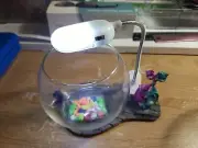 Mini Glass Bowl Beta Fish Tank With Led Light And 2 Cats Deco Included Rocks