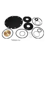 Backflow Repair Kit Watts LFRK 909-RT4