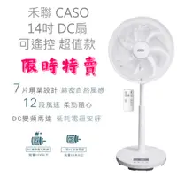 在飛比找蝦皮商城優惠-禾聯碩 CASO 14吋立扇 7扇葉 DC直流電風扇 省電變