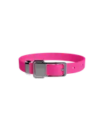 frank green Pet Collar - Medium - Neon Pink
