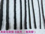 高級毛刷條 B4 底座?7.9mm 毛長10mm（無背膠-3米(約300公分)售）防撞條 毛條 氣密條 門縫條 隔音條