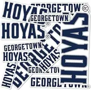 Desert Cactus Georgetown University Sticker Georgetown Hoyas Vinyl Decal Laptop Water Bottle Car Scrapbook Sheet (Type 1-3)
