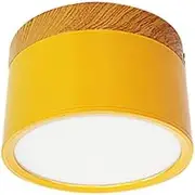 Colored Aluminum Art Small Cylindrical Ceiling Lamp, LED Light Source, Flush Mount Ceiling Light, Color Temperature White Light, Surface Mount Ceiling Light Fixture