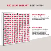 Red Light Therapy Lamp with Stand, 660nm Red & 850nm Infrared Light for Body ddg