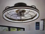 FANNEHONNE 19 in. Black Modern Farmhouse Ceiling Fan w/ LED Light Flush Mount