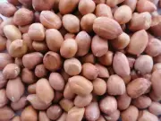 Ground Nut Moongfali Dana Peanuts Goober Freshly Packed 500gm Pack Snacks Item**