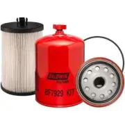 Baldwin Fuel Filter (Set Of 2)