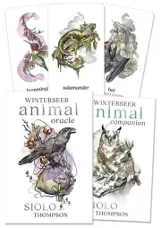 WINTERSEER ORACLE KIT Deck & Book Boxed Set pagan wicca witch tarot card cards