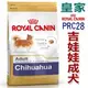 宅貓購☆法國皇家CHA【PRC28】吉娃娃成犬3公斤