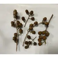 在飛比找蝦皮購物優惠-乾燥花材 種子 大花紫薇果實  枝條 手作花圈 天然自素材 