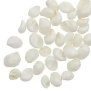 16oz White Nautica Sea Shells