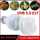 Ceramic Reptile Heating Light Lizard Full Spectrum Pet UVA Uvb Tortoise Lamp GDB