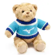 2025 Mizuno Jumper Small Teddy Bear Desk Buddy RunBird Blue Toy Super Soft