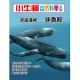 小牛頓自然科學小百科：深海潛將--抹香鯨 (電子書)
