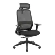 Maestro Furniture Dian High Mesh Back Molded Foam Seat Ergonomic Computer Office Working Chair Black