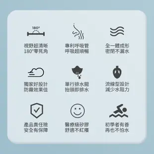 【台灣現貨】游泳神器韓國BLUEFIN 全罩式 浮潛呼吸面罩 浮潛 潛水 游泳 面罩